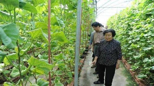 吃瓜网红黑料爆料是真的吗,真相揭秘 第3张 吃瓜网红黑料爆料是真的吗,真相揭秘 第3张